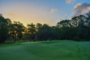 Golf course lined with trees