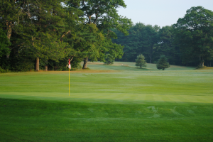 flag on golf course